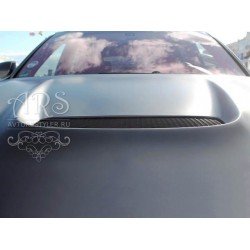 Porsche Cayenne 955, 957 hood plastic Gemballa